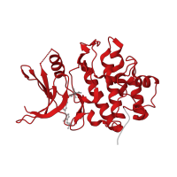 The deposited structure of PDB entry 7suj contains 2 copies of Pfam domain PF00069 (Protein kinase domain) in Serine/threonine-protein kinase Chk1. Showing 1 copy in chain A.