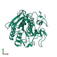 Proteinase K in PDB entry 7swb, assembly 1, front view.