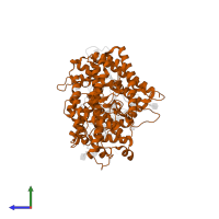 Processed angiotensin-converting enzyme 2 in PDB entry 7sy4, assembly 1, side view.