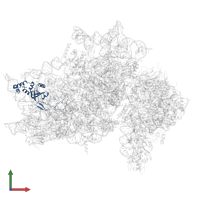 Small ribosomal subunit protein eS8 in PDB entry 7syl, assembly 1, front view.