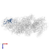 Small ribosomal subunit protein eS8 in PDB entry 7syl, assembly 1, top view.