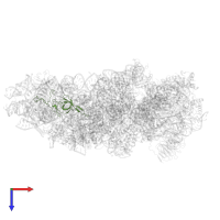 Small ribosomal subunit protein uS17 in PDB entry 7syl, assembly 1, top view.