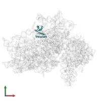 Small ribosomal subunit protein uS15 in PDB entry 7syl, assembly 1, front view.