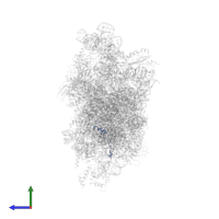 Small ribosomal subunit protein uS14 in PDB entry 7syl, assembly 1, side view.