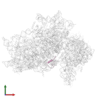 Ubiquitin-like FUBI-ribosomal protein eS30 fusion protein in PDB entry 7syl, assembly 1, front view.