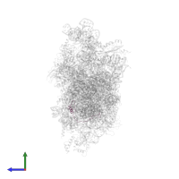 Ubiquitin-like FUBI-ribosomal protein eS30 fusion protein in PDB entry 7syl, assembly 1, side view.