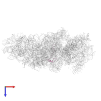 Ubiquitin-like FUBI-ribosomal protein eS30 fusion protein in PDB entry 7syl, assembly 1, top view.