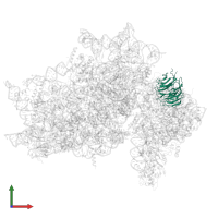 Small ribosomal subunit protein RACK1 in PDB entry 7syl, assembly 1, front view.