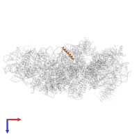 Small ribosomal subunit protein eS32 in PDB entry 7syl, assembly 1, top view.