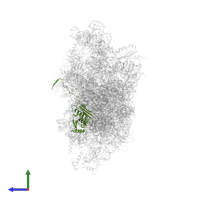 Small ribosomal subunit protein uS3 in PDB entry 7syl, assembly 1, side view.