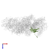 Small ribosomal subunit protein uS3 in PDB entry 7syl, assembly 1, top view.