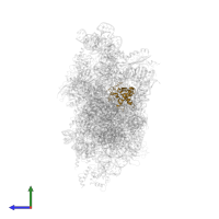 Small ribosomal subunit protein uS7 in PDB entry 7syl, assembly 1, side view.