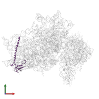 40S ribosomal protein S6 in PDB entry 7syl, assembly 1, front view.