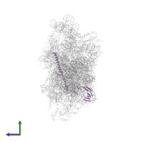 40S ribosomal protein S6 in PDB entry 7syl, assembly 1, side view.