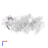 40S ribosomal protein S6 in PDB entry 7syl, assembly 1, top view.