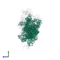 18S Ribosomal RNA in PDB entry 7syo, assembly 1, side view.