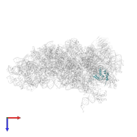 40S ribosomal protein S15 in PDB entry 7sys, assembly 1, top view.