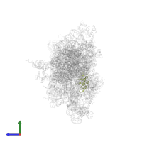 Small ribosomal subunit protein uS8 in PDB entry 7sys, assembly 1, side view.