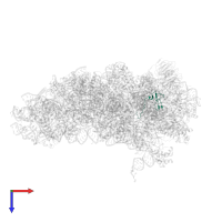 Ubiquitin-ribosomal protein eS31 fusion protein in PDB entry 7sys, assembly 1, top view.