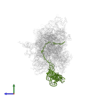 HCV IRES in PDB entry 7sys, assembly 1, side view.