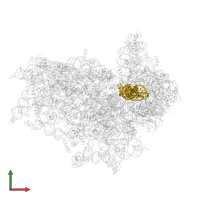 Met-tRNA-i-Met in PDB entry 7sys, assembly 1, front view.