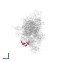 Small ribosomal subunit protein eS1 in PDB entry 7sys, assembly 1, side view.