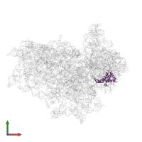 Small ribosomal subunit protein uS7 domain-containing protein in PDB entry 7sys, assembly 1, front view.