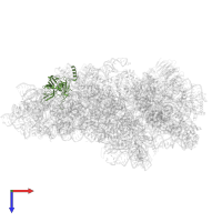 40S ribosomal protein S4 in PDB entry 7syv, assembly 1, top view.