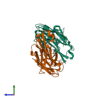 Hetero dimeric assembly 1 of PDB entry 7t0f coloured by chemically distinct molecules, side view.