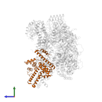 DNA primase in PDB entry 7t23, assembly 1, side view.