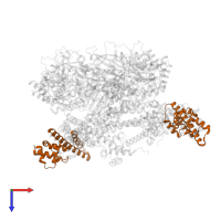 DNA primase in PDB entry 7t23, assembly 1, top view.