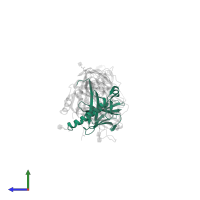 HLA class II histocompatibility antigen, DP alpha 1 chain in PDB entry 7t2b, assembly 2, side view.