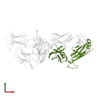 T cell receptor beta constant 1 in PDB entry 7t2b, assembly 2, front view.