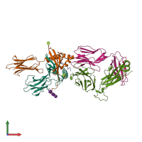 Hetero pentameric assembly 3 of PDB entry 7t2d coloured by chemically distinct molecules, front view.