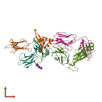 Hetero pentameric assembly 4 of PDB entry 7t2d coloured by chemically distinct molecules, front view.