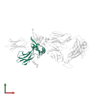 HLA class II histocompatibility antigen, DP alpha 1 chain in PDB entry 7t2d, assembly 1, front view.