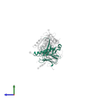 HLA class II histocompatibility antigen, DP alpha 1 chain in PDB entry 7t2d, assembly 1, side view.