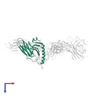 HLA class II histocompatibility antigen, DP alpha 1 chain in PDB entry 7t2d, assembly 1, top view.