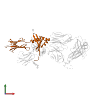 HLA class II histocompatibility antigen, DP beta 1 chain in PDB entry 7t2d, assembly 1, front view.