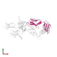 T cell receptor alpha chain constant in PDB entry 7t2d, assembly 1, front view.
