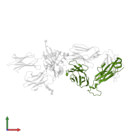 T cell receptor beta constant 1 in PDB entry 7t2d, assembly 1, front view.