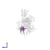 Ragulator complex protein LAMTOR3 in PDB entry 7t3a, assembly 1, side view.