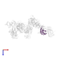 Ragulator complex protein LAMTOR3 in PDB entry 7t3a, assembly 1, top view.