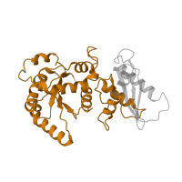 The deposited structure of PDB entry 7t3c contains 1 copy of Pfam domain PF04670 (Gtr1/RagA G protein conserved region) in Ras-related GTP-binding protein C. Showing 1 copy in chain Q [auth L].