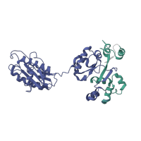 The deposited structure of PDB entry 7t3c contains 2 copies of Pfam domain PF06218 (Nitrogen permease regulator 2) in GATOR1 complex protein NPRL2. Showing 2 copies in chain A [auth B].