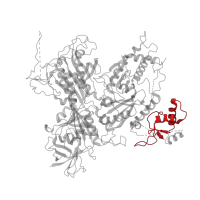 The deposited structure of PDB entry 7t3c contains 1 copy of Pfam domain PF00610 (Domain found in Dishevelled, Egl-10, and Pleckstrin (DEP)) in GATOR1 complex protein DEPDC5. Showing 1 copy in chain B [auth A].