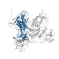 The deposited structure of PDB entry 7t3c contains 1 copy of Pfam domain PF12257 (Vacuolar membrane-associated protein Iml1) in GATOR1 complex protein DEPDC5. Showing 1 copy in chain B [auth A].