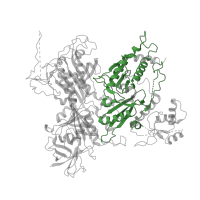 The deposited structure of PDB entry 7t3c contains 1 copy of Pfam domain PF19418 (DEPDC5 protein C-terminal region) in GATOR1 complex protein DEPDC5. Showing 1 copy in chain B [auth A].