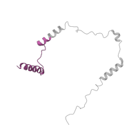The deposited structure of PDB entry 7t3c contains 2 copies of Pfam domain PF15454 (Late endosomal/lysosomal adaptor and MAPK and MTOR activator) in Ragulator complex protein LAMTOR1. Showing 1 copy in chain O [auth M].