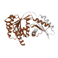 The deposited structure of PDB entry 7t3c contains 2 copies of Pfam domain PF04670 (Gtr1/RagA G protein conserved region) in Ras-related GTP-binding protein A. Showing 1 copy in chain P [auth K].